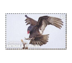 Turkey Vulture - Caribbean / Antigua and Barbuda 2020 - 1