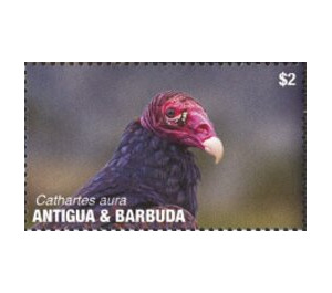 Turkey Vulture - Caribbean / Antigua and Barbuda 2020 - 2