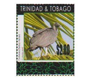 Turkey Vulture (Cathartes aura) - Caribbean / Trinidad and Tobago 2019 - 2