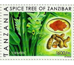Turmeric - East Africa / Tanzania 2018
