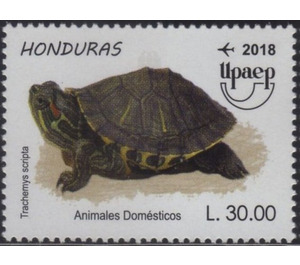 Turtle - Central America / Honduras 2018 - 30