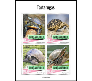 Turtles - East Africa / Mozambique 2020