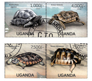 Turtles - East Africa / Uganda 2013 Set