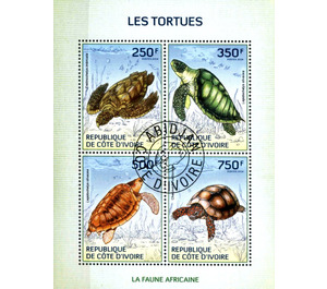 Turtles - West Africa / Ivory Coast 2014