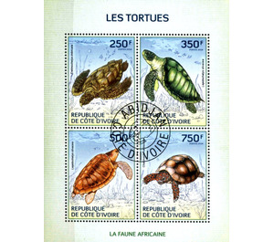 Turtles - West Africa / Ivory Coast 2014