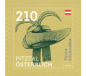 Tyrolean Schützen hat - Pitz Valley - Austria / II. Republic of Austria 2020 - 210 Euro Cent