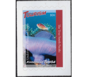 Underwater Flora and Fauna - Polynesia / Tonga 2020