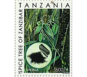 Vanilla - East Africa / Tanzania 2018