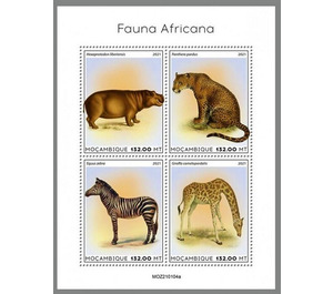 Various Animals - East Africa / Mozambique 2021