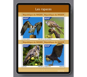 Various Birds - West Africa / Niger 2021