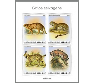 Various Cats - East Africa / Mozambique 2021
