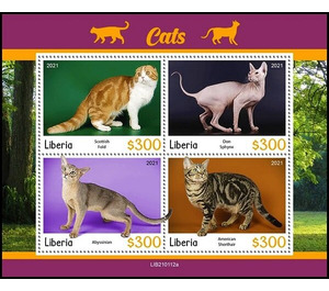 Various Cats - West Africa / Liberia 2021