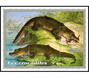 Various Crocodiles - West Africa / Togo 2021