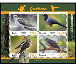 Various Cuckoos - West Africa / Liberia 2021