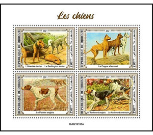 Various Dogs - East Africa / Djibouti 2021
