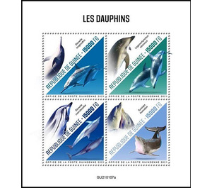 Various Dolphins - West Africa / Guinea 2021