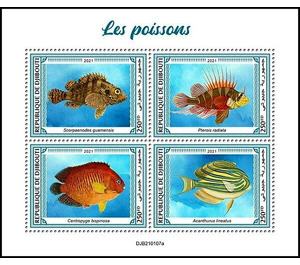 Various Fishes - East Africa / Djibouti 2021