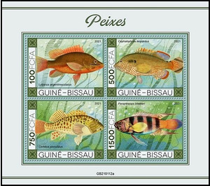 Various Fishes - West Africa / Guinea-Bissau 2021