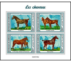 Various Horses - East Africa / Djibouti 2021