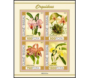 Various Orchids - West Africa / Guinea-Bissau 2021