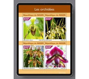 Various Orchids - West Africa / Niger 2021