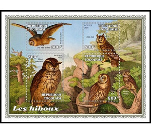 Various Owls - West Africa / Togo 2021