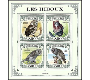 Various Owls - West Africa / Togo 2021