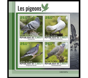 Various Pigeons - East Africa / Djibouti 2021