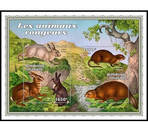 Various Rodent Animals - West Africa / Togo 2021