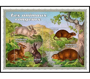 Various Rodent Animals - West Africa / Togo 2021