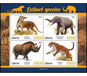 Various Species - West Africa / Liberia 2021