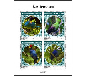Various Turacos - Central Africa / Central African Republic 2021