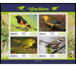 Various Warblers - West Africa / Liberia 2021