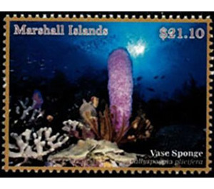 Vase Sponge (Callyspongia plicifera) - Micronesia / Marshall Islands 2020 - 21.10