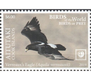 Verreaux's Eagle - Aitutaki 2019 - 6