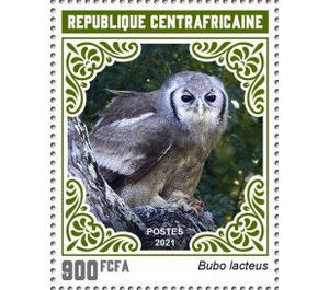 Verreaux's Eagle Owl (Bubo lacteus) - Central Africa / Central African Republic 2021 - 900