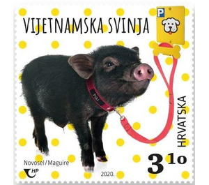 Vietnamese Pig - Croatia 2020 - 3.10