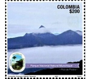 View of Munchique National Natural Park - South America / Colombia 2021