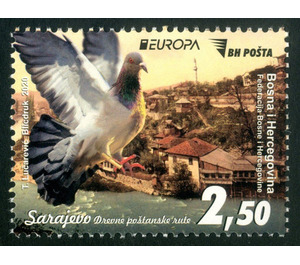 View of Sarajevo and Pigeon - Bosnia and Herzegovina 2020 - 2.50