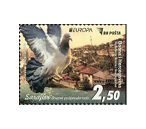 View of Sarajevo and Pigeon - Bosnia and Herzegovina 2020 - 2.50