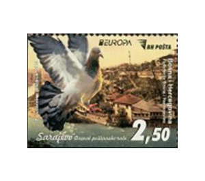 View of Sarajevo and Pigeon - Bosnia and Herzegovina 2020 - 2.50