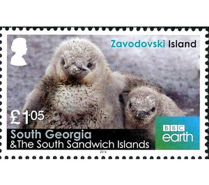 Views of Zavolodski Island - Falkland Islands, Dependencies 2016 - 1.05