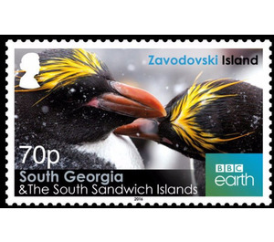 Views of Zavolodski Island - Falkland Islands, Dependencies 2016 - 70