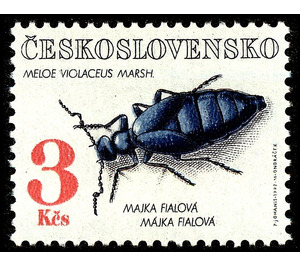 Violet Oil Beetle (Meloe violaceus) - Czechoslovakia 1992 - 3