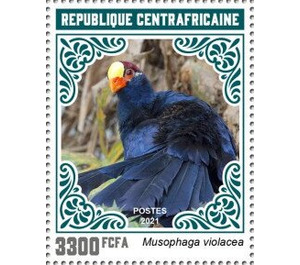 Violet Turaco (Musophaga violacea) - Central Africa / Central African Republic 2021