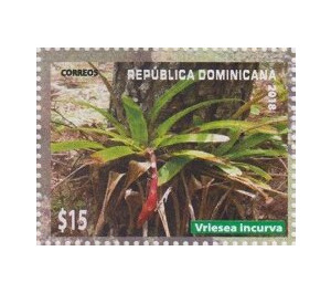 Vriesea incurva - Caribbean / Dominican Republic 2019 - 15