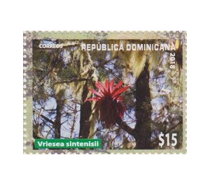 Vriesea sintenisli - Caribbean / Dominican Republic 2019 - 15