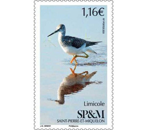 Wader - North America / Saint Pierre and Miquelon 2020 - 1.16