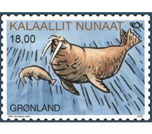 Walrus (Odobenus rosmarus) - Greenland 2020 - 18