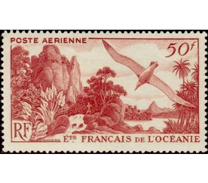 Wandering Albatross (Diomedea exulans) over Mooréa - Polynesia / French Oceania 1948 - 50